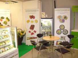 Messestand Edeka